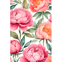 Пионы Пионы