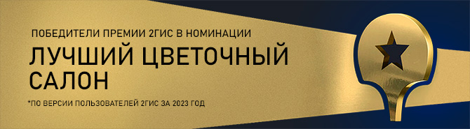 Премия 2ГИС